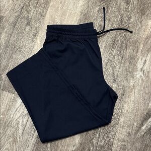 Banana Republic Navy Tapered Fit Pants